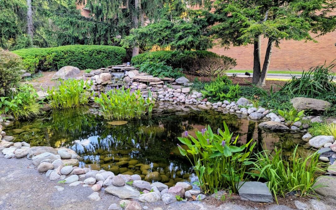 Beyond the Chemicals: Why Serenity Waterscapes Only Installs Ecosystem Ponds in Upstate NY