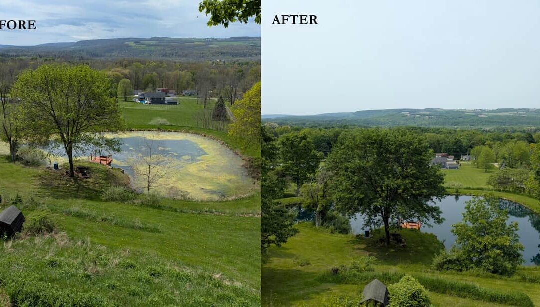 Green Water, Clear Solution: A-TIP Control’s Scientific Approach to Algae and Water Quality Issues in Upstate NY
