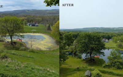 Green Water, Clear Solution: A-TIP Control’s Scientific Approach to Algae and Water Quality Issues in Upstate NY