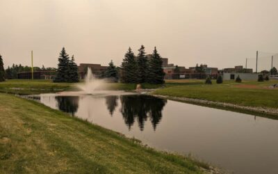 The Dual-Expertise Advantage: Why Our Aquatic Management Team is Unique in Western NY