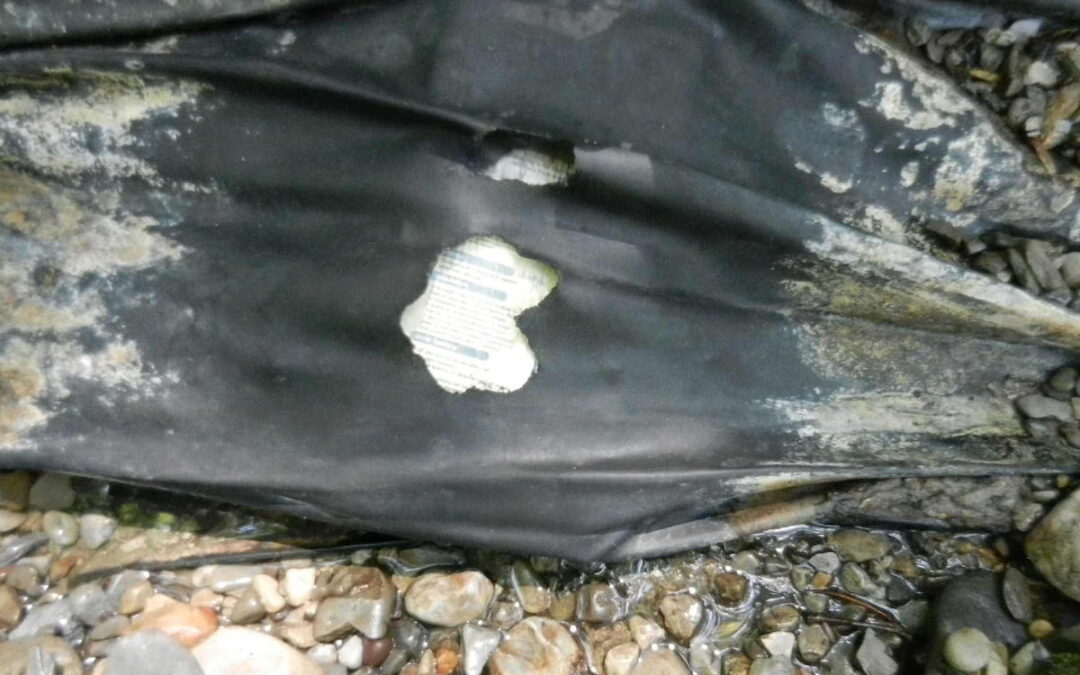 Specialized Water Feature Repairs: Diagnosing and Fixing Pond Leaks and Waterfall Failures in Upstate NY