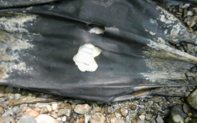 Specialized Water Feature Repairs: Diagnosing and Fixing Pond Leaks and Waterfall Failures in Upstate NY