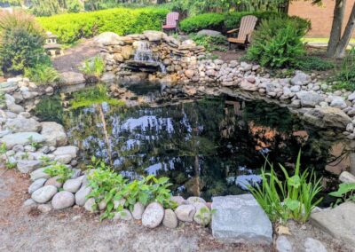 pond maintenance