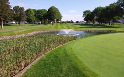 Beyond Maintenance: Why Our Certified Aquatic Specialist Designation Guarantees Long-Term Water Feature Health in Upstate NY