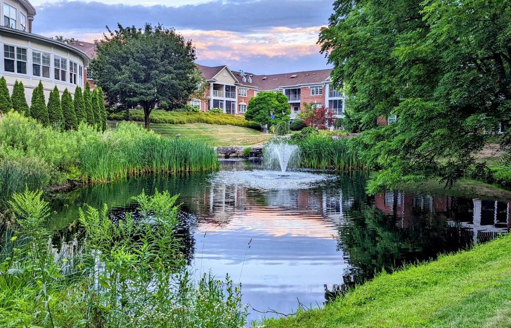 Dual Expertise: Understanding the Difference Between Lake Management and Water Feature Services in Upstate NY