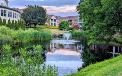Dual Expertise: Understanding the Difference Between Lake Management and Water Feature Services in Upstate NY