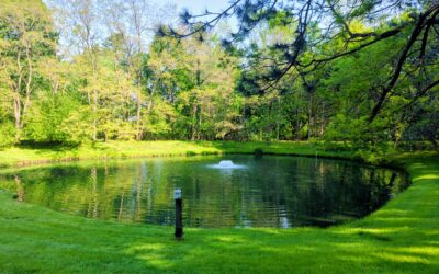 Protecting Your Aquatic Asset: Why Aeration Systems are Vital for Pond Management and Preventing Fish Kills in Upstate NY
