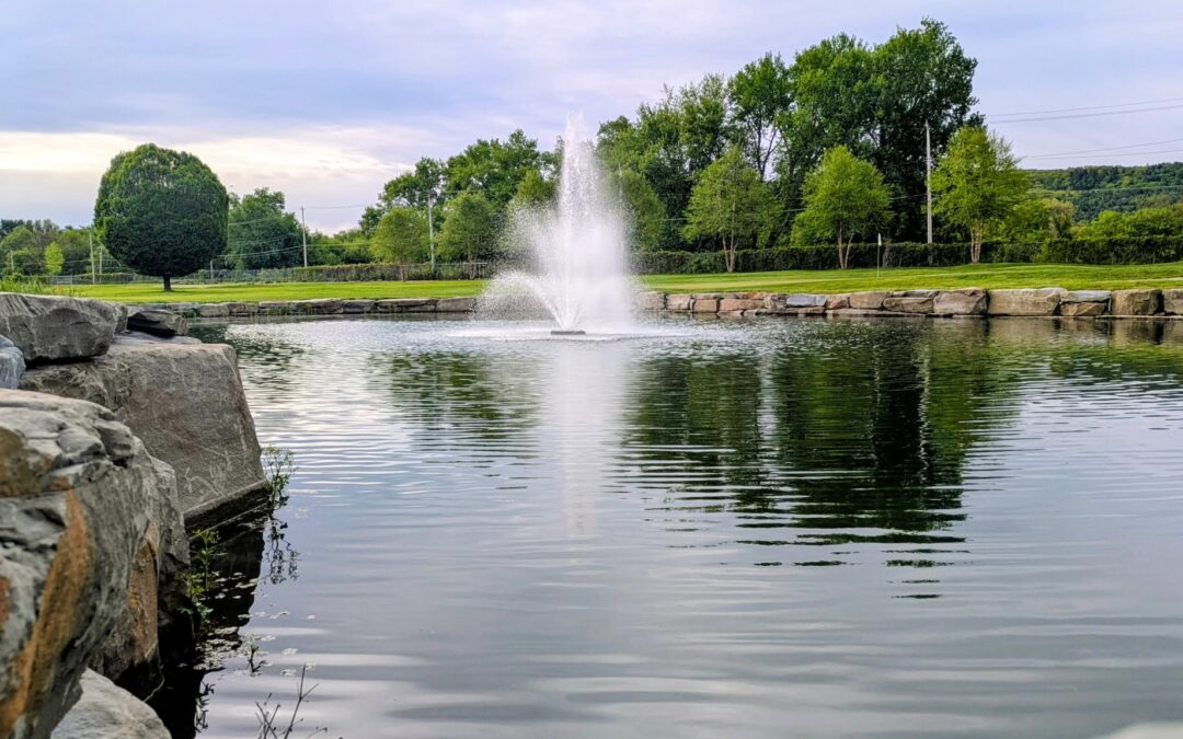 Comprehensive Aquatic Coverage: Which Areas of Upstate NY Does A-TIP Control Serve for Lake and Pond Services?
