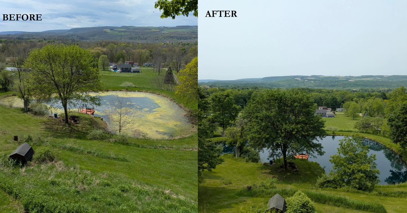 ecosystem pond installation
