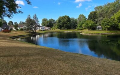 Decades of Proven Authority: Our Experience Managing Complex, Large-Scale Aquatic Assets in Upstate NY